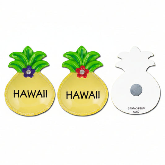 127HM: Pineapple "HAWAII" Magnet