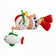 NT212: Linking Snorkel Santa & Fish