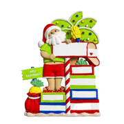 266: Hawaiian Santa Mailbox - 6