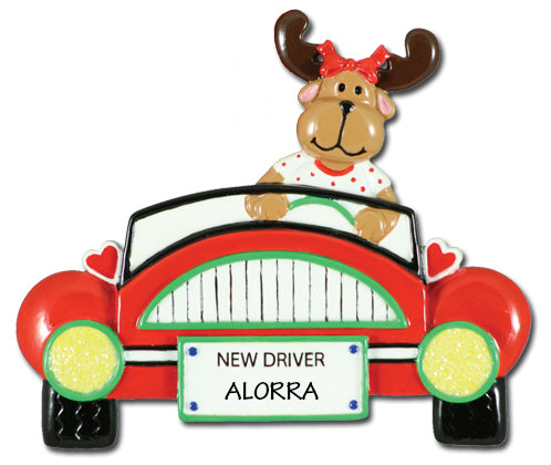 CR167: NEW DRIVER GIRL