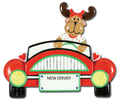 CR167: NEW DRIVER GIRL