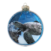Round glass ornament with a turtle design on a white background