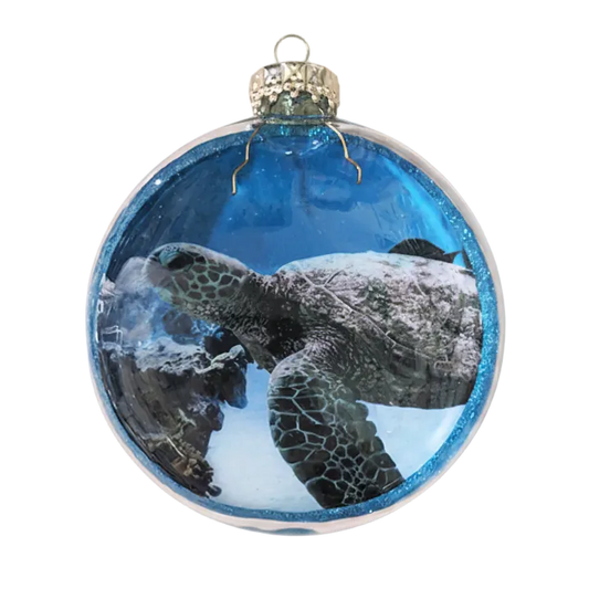 HZZ142: Glass Flat Disc - Turtle Profile - 12 Pack