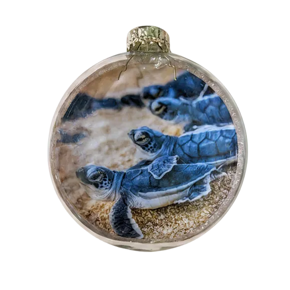 A round glass ornament featuring a printed or embedded photograph of sea turtle hatchlings on sand, with a gold cap at the top, shown against a plain white background.