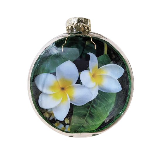 HZZ151: Glass Flat Disc - Plumeria - 12 Pack