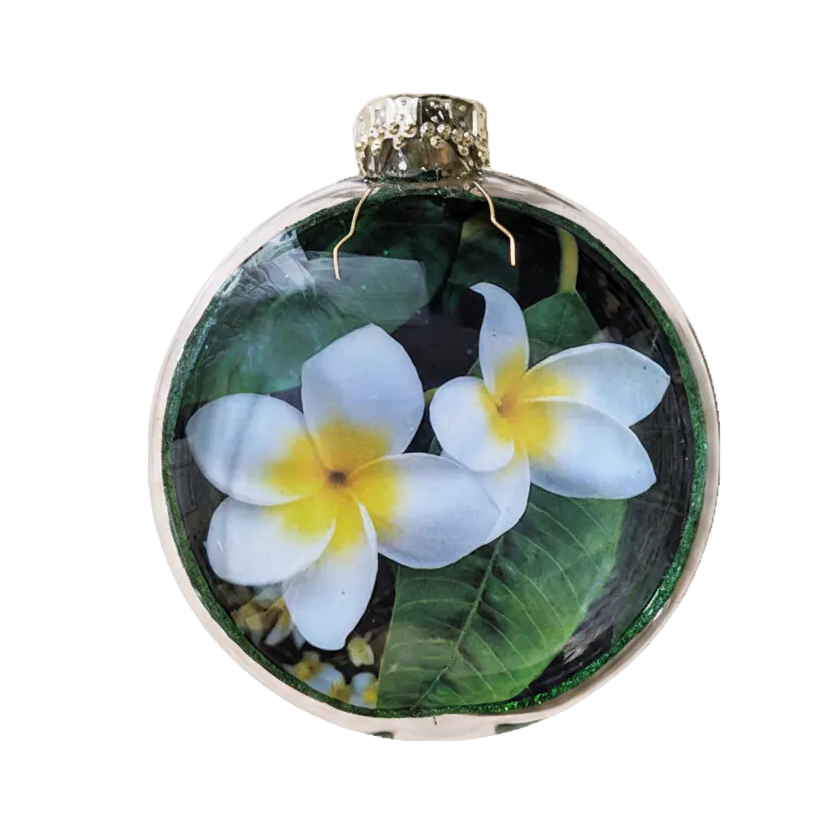 HZZ151: Glass Flat Disc - Plumeria - 12 Pack