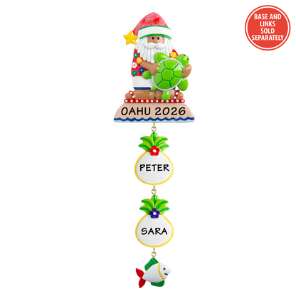 NT113N: Turtle Santa
