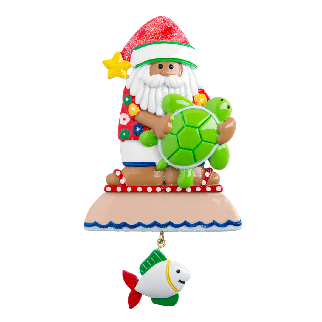 NT113N: Turtle Santa