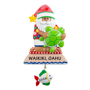 NT113N: Turtle Santa
