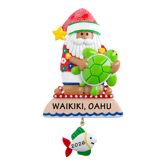 NT113N: TURTLE SANTA