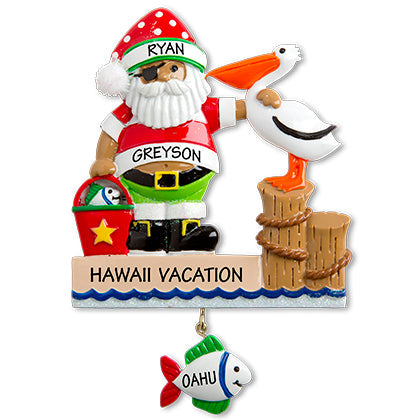 NT151: PIRATE SANTA & PELICAN