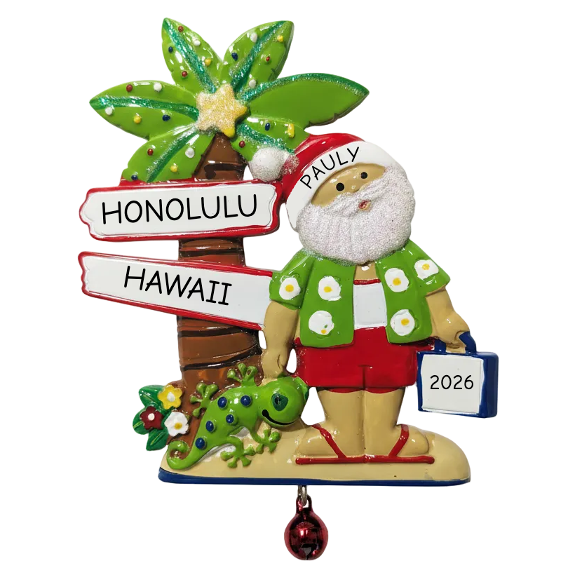 NT251: Santa w/ Signs & Gecko - 24 Pack