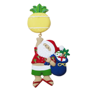 NT254: Linking Pineapple Santa