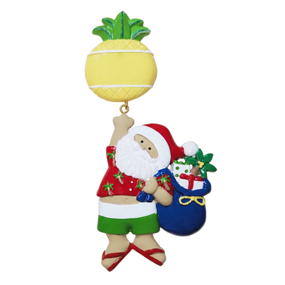 NT254: Linking Pineapple Santa