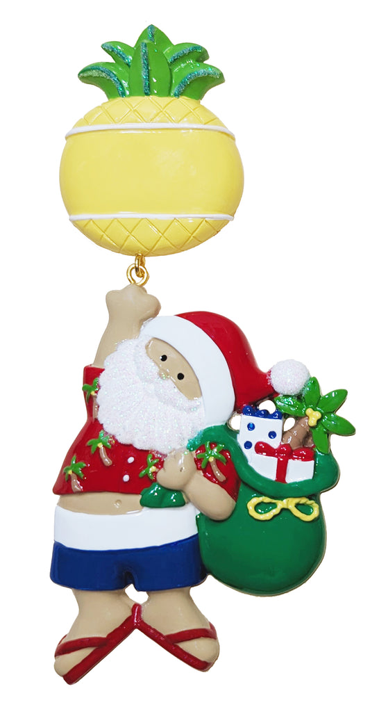 NT254: Linking Pineapple Santa