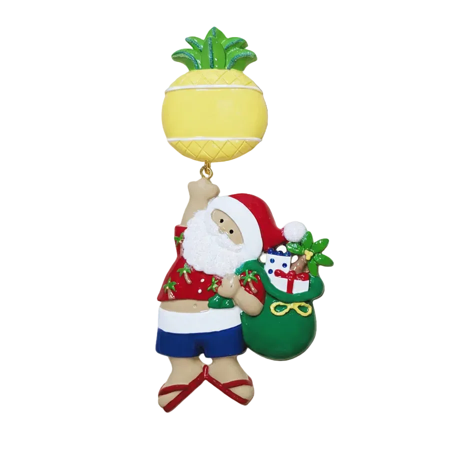 NT254: Linking Pineapple Santa
