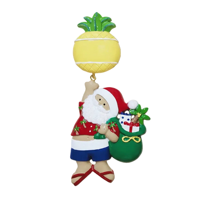 NT254: Linking Pineapple Santa