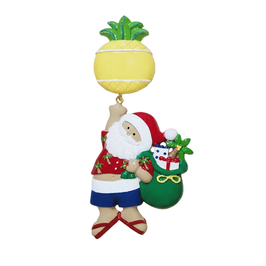 NT254: Linking Pineapple Santa