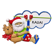 NT308: Zipline Santa