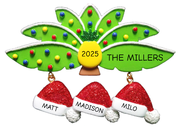 NT333: Palm Leaves Santa Hat Family-3