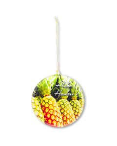 GRM104: Pineapple Sun Catcher Ornament