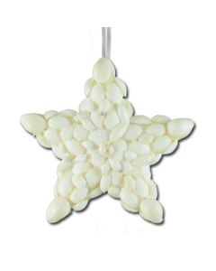 WS111: Seashell Star