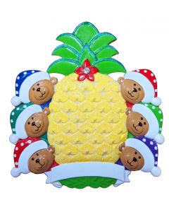 NT316: Pineapple Bears 6