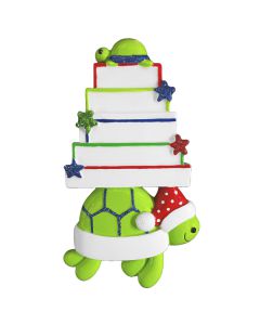 NT355N: Turtle W/ Gifts 5