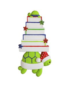 NT356N: Turtle W/ Gifts 6